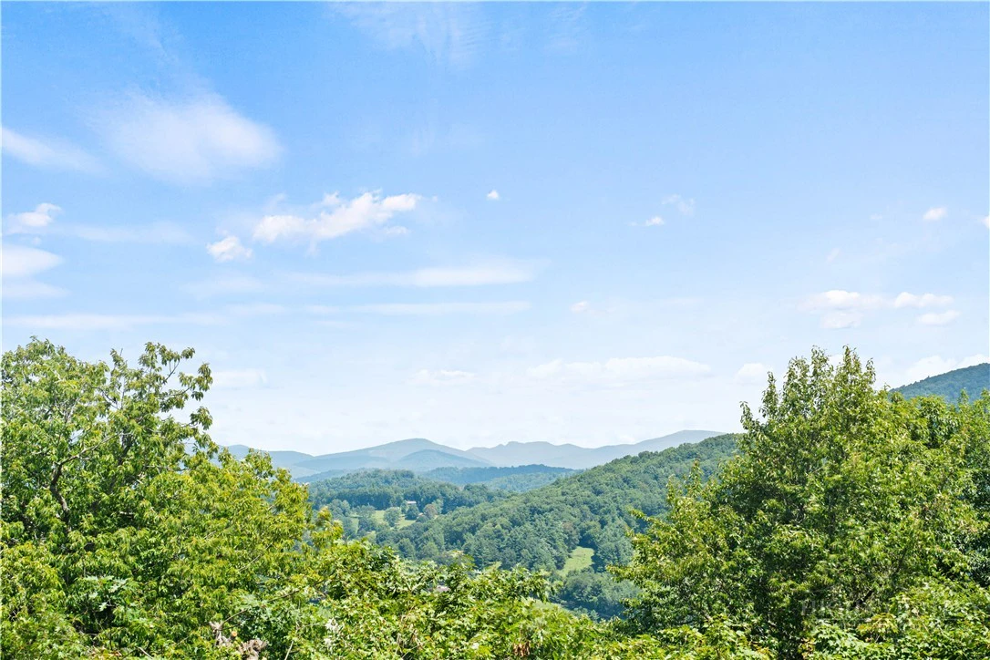 Image number 3 for the current listing