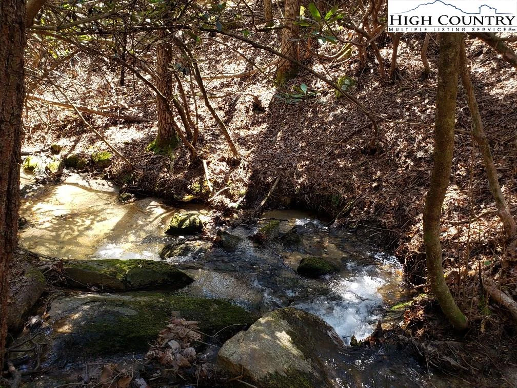 Image number 4 for the current listing