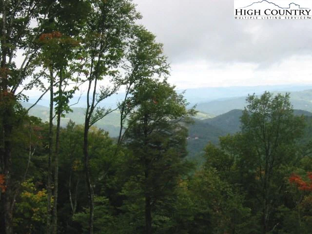 Image number 1 for the current listing