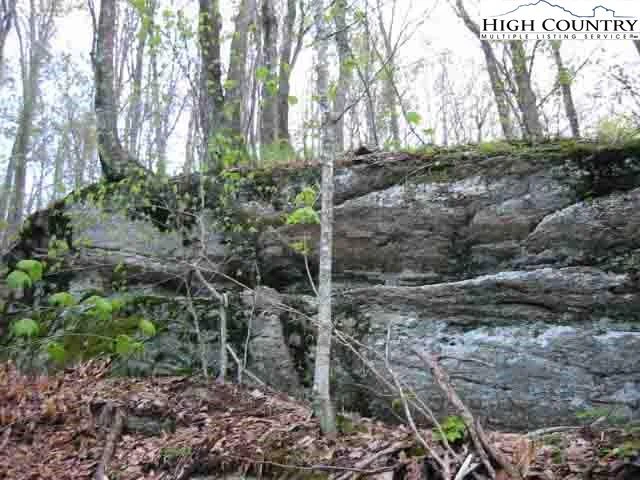 Image number 11 for the current listing