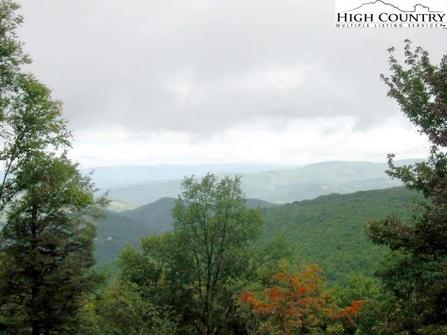 Image number 3 for the current listing