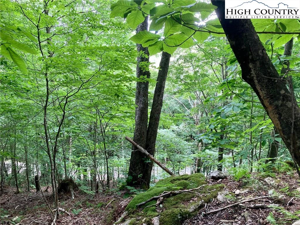 Image number 6 for the current listing