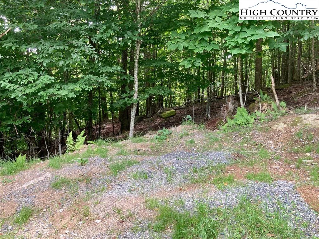 Image number 7 for the current listing