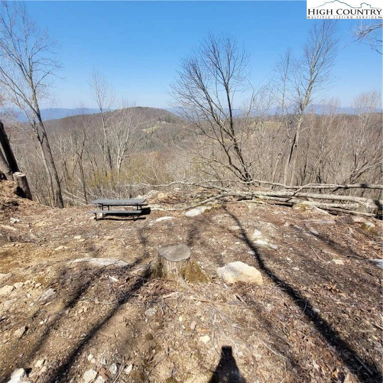 Image number 1 for the current listing