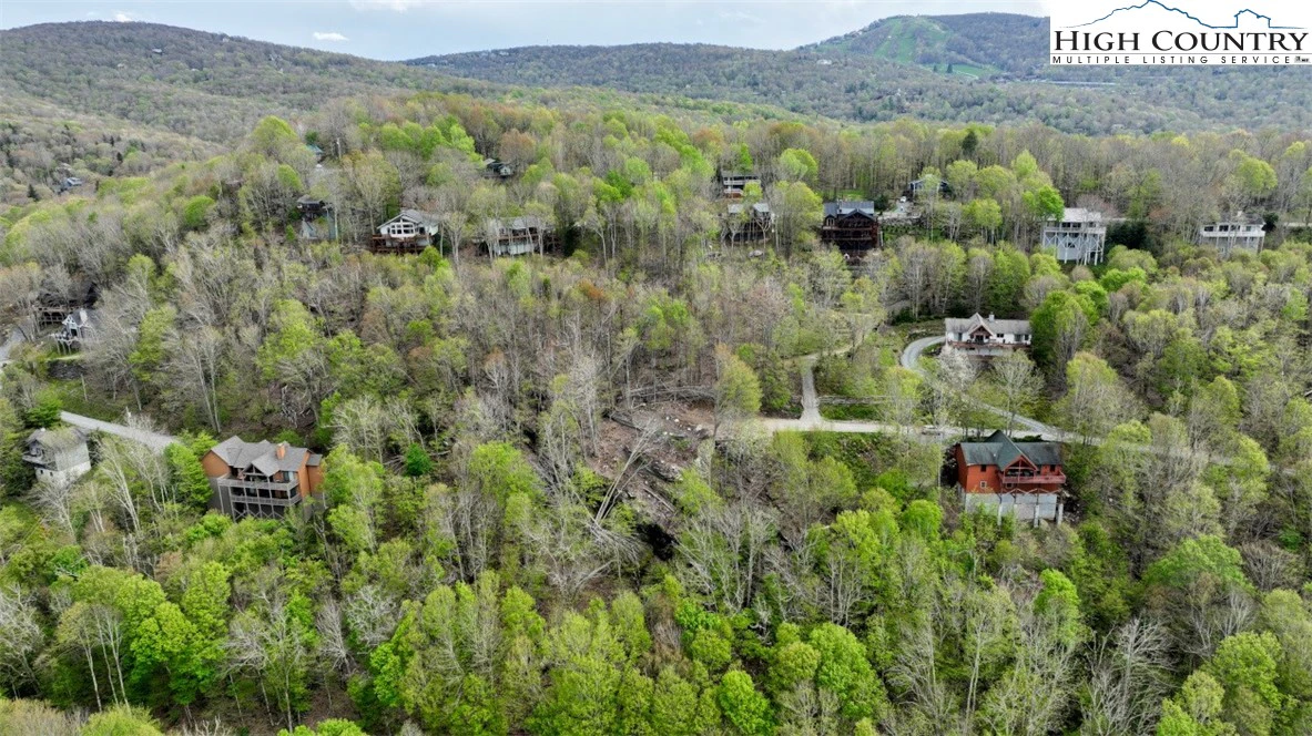 Image number 6 for the current listing