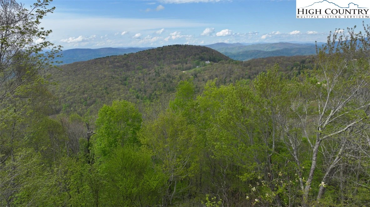 Image number 20 for the current listing