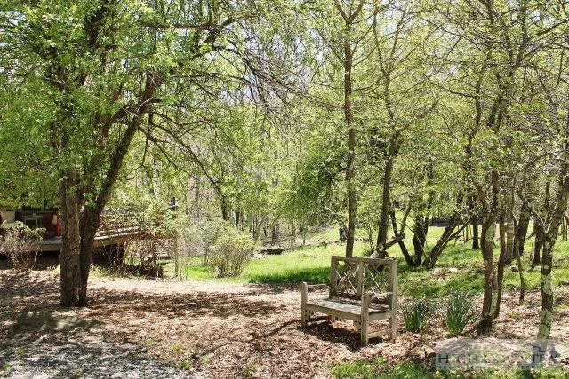 Image number 12 for the current listing