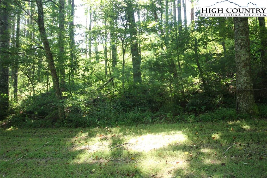 Image number 8 for the current listing