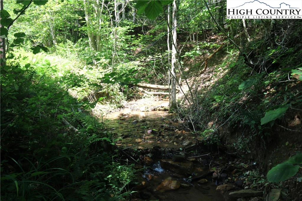 Image number 2 for the current listing