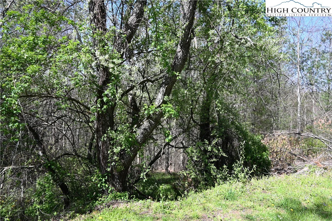 Image number 3 for the current listing