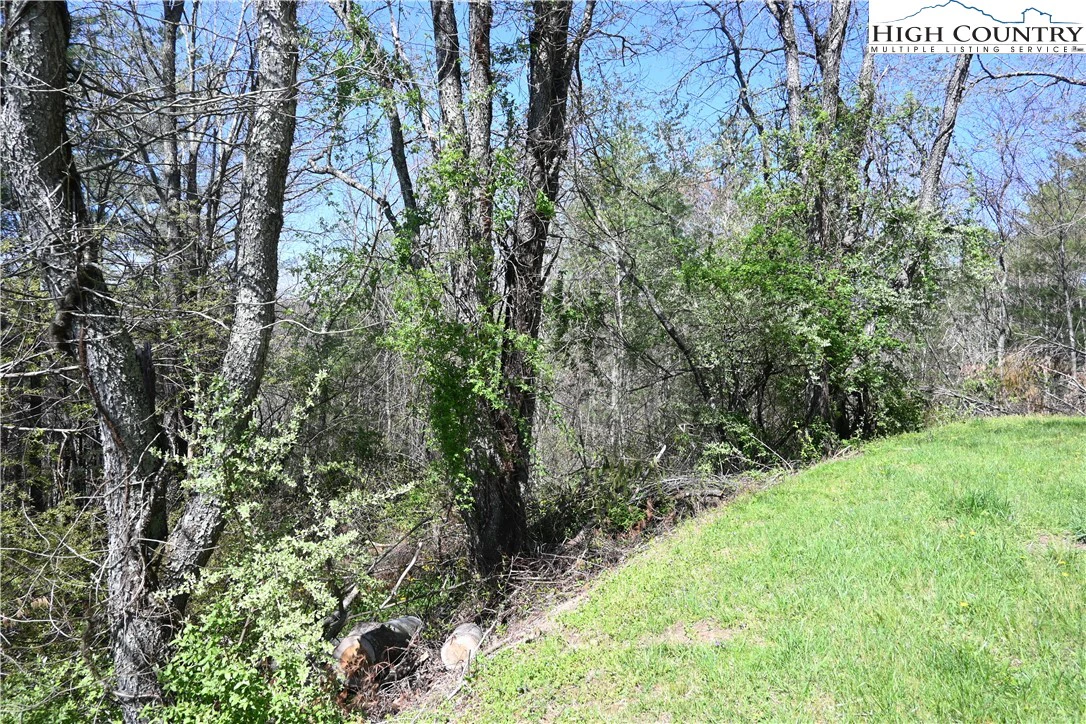 Image number 4 for the current listing