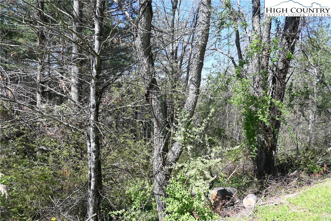 Image number 5 for the current listing