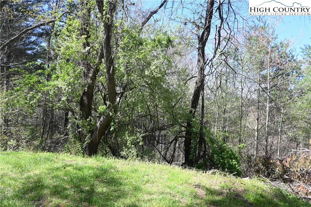Image number 7 for the current listing