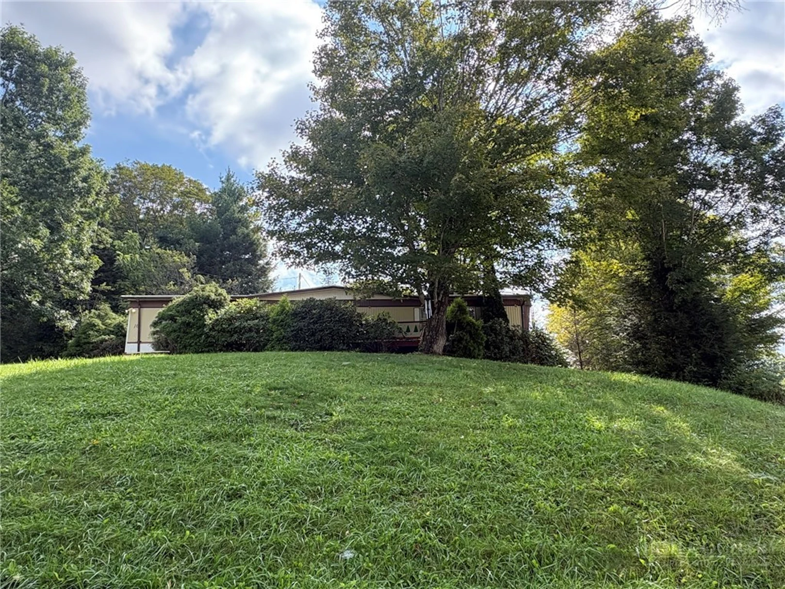 Image number 1 for the current listing