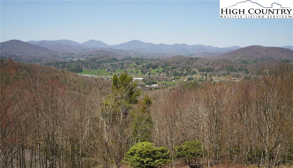 Image number 5 for the current listing