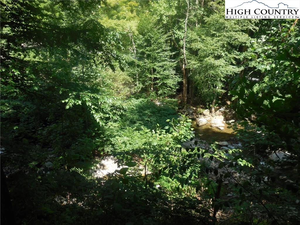 Image number 8 for the current listing