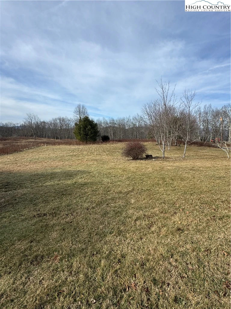 Image number 2 for the current listing