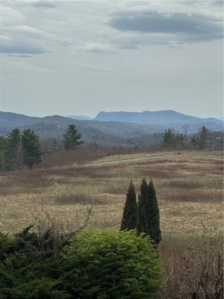 Image number 18 for the current listing
