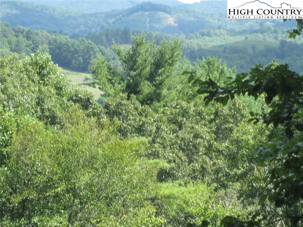 Image number 11 for the current listing