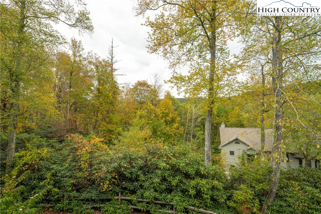 Image number 9 for the current listing