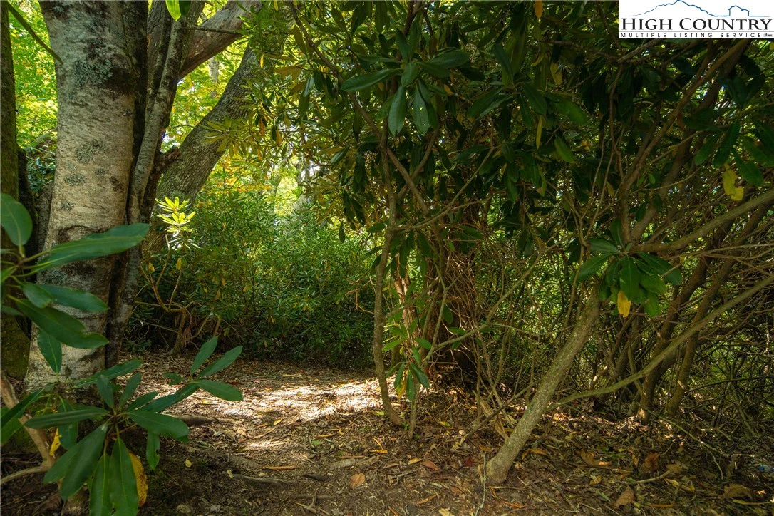 Image number 2 for the current listing