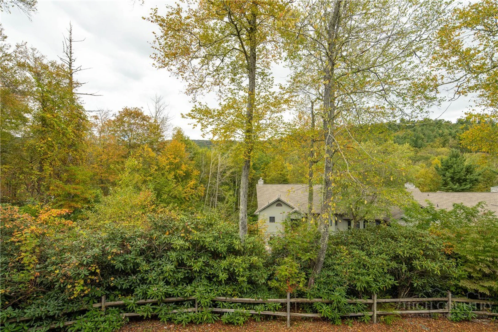 Image number 11 for the current listing