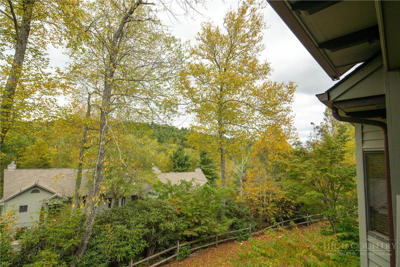 Image number 12 for the current listing