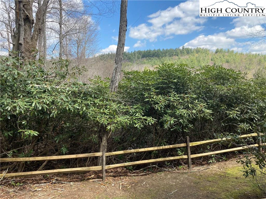 Image number 5 for the current listing