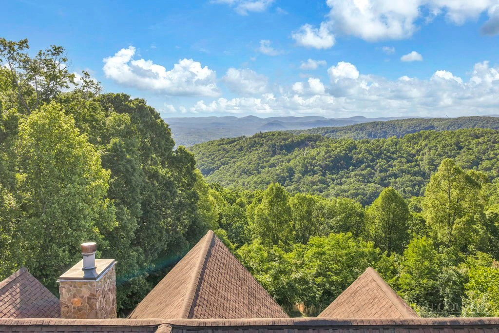 Image number 5 for the current listing