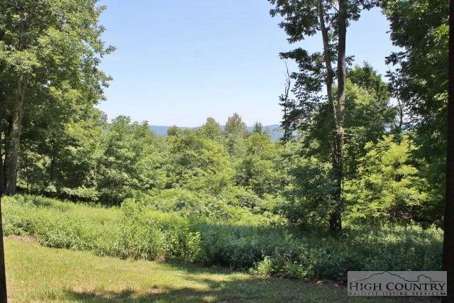 Image number 15 for the current listing