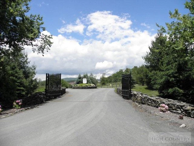 Image number 11 for the current listing