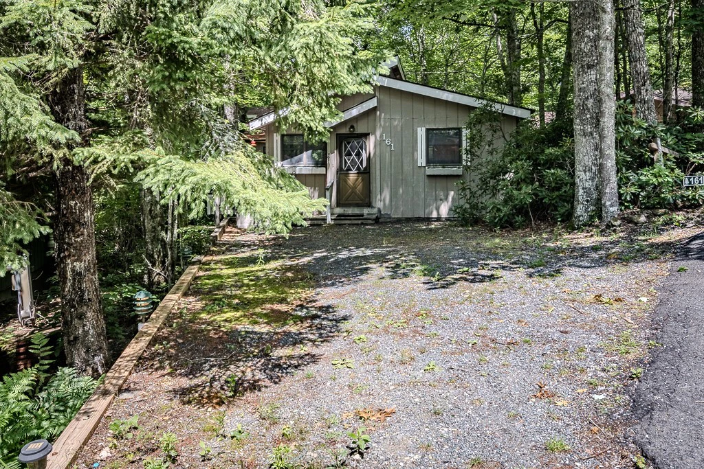 Image number 2 for the current listing