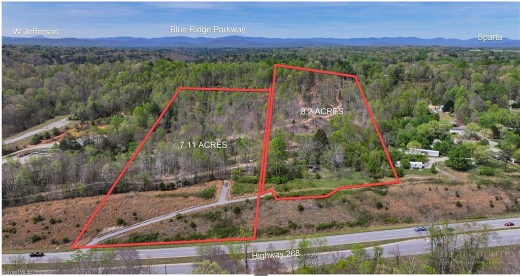Image number 1 for the current listing