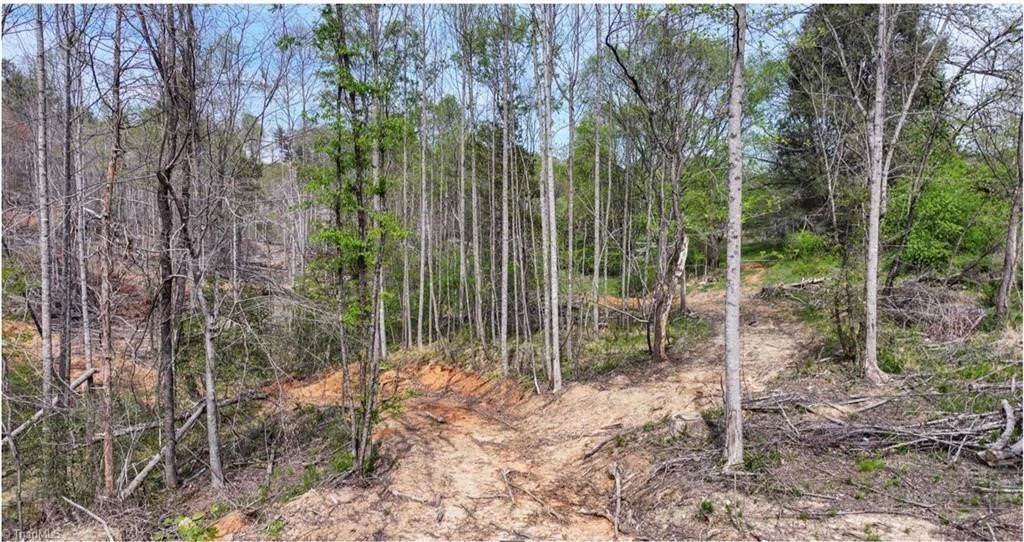 Image number 15 for the current listing