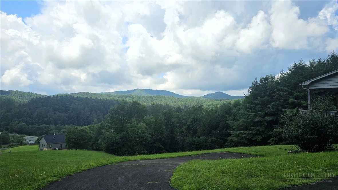 Image number 4 for the current listing
