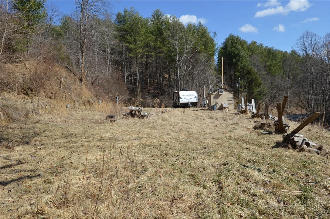 Image number 4 for the current listing