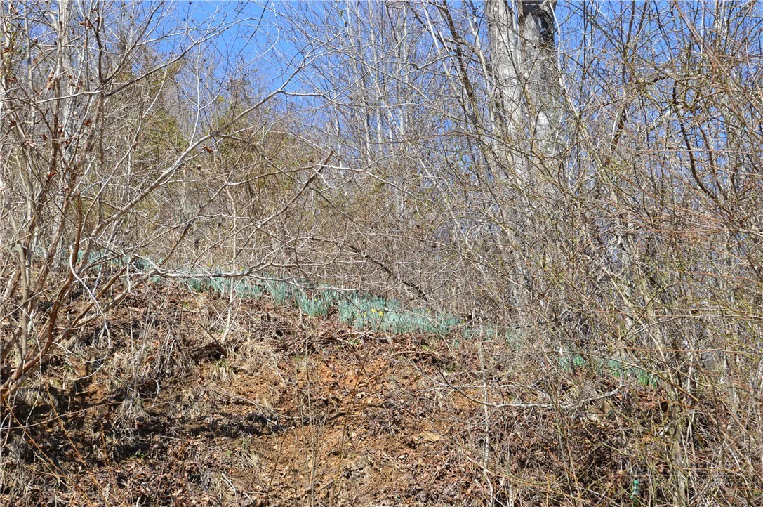 Image number 7 for the current listing