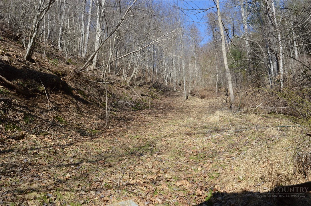 Image number 10 for the current listing