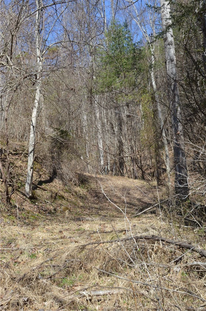 Image number 11 for the current listing