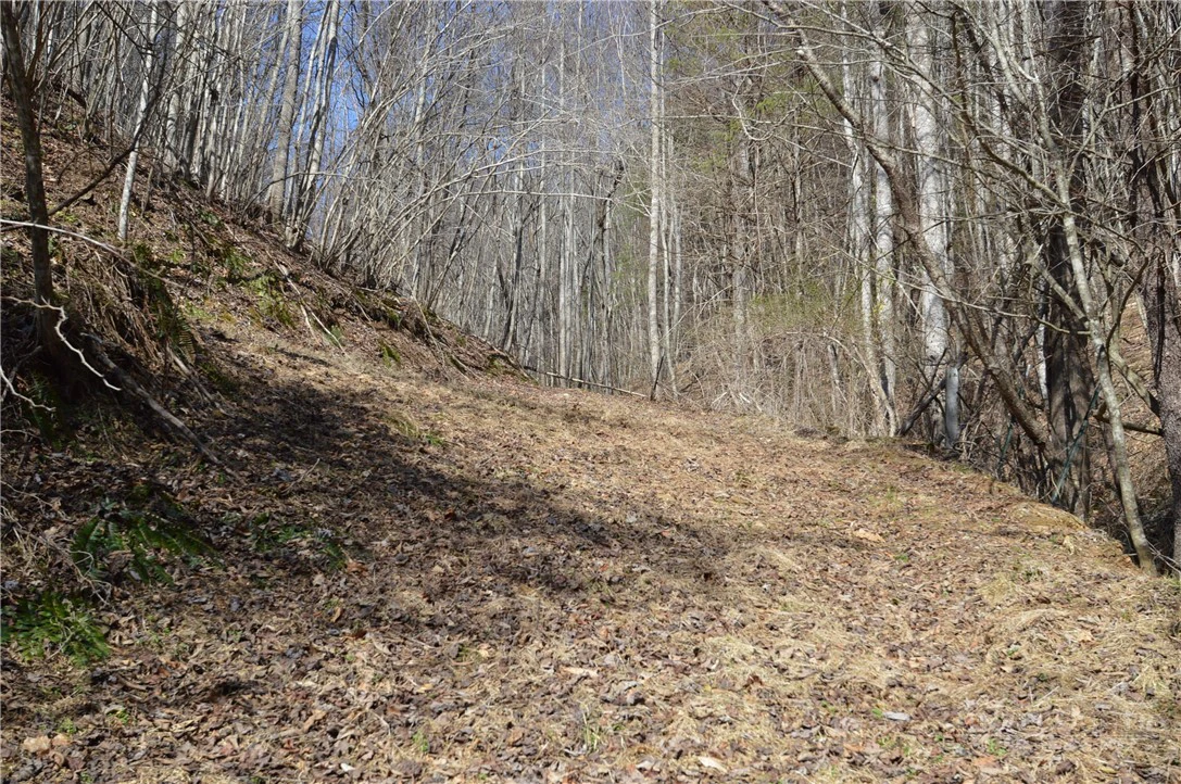 Image number 12 for the current listing