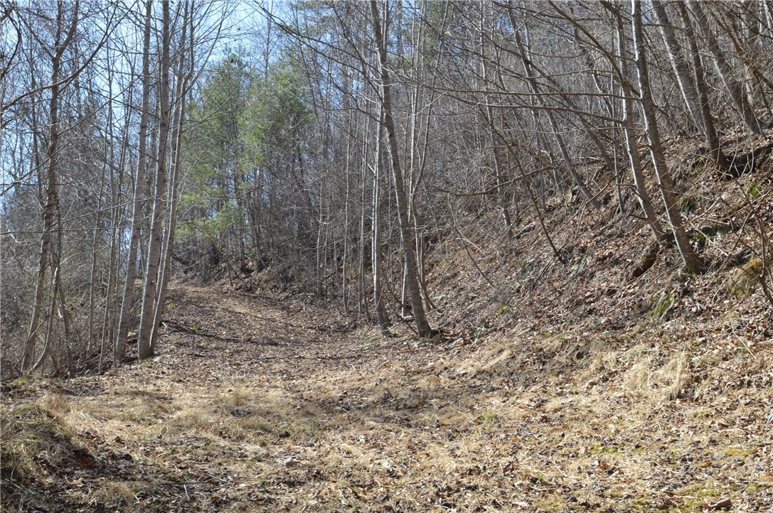 Image number 13 for the current listing