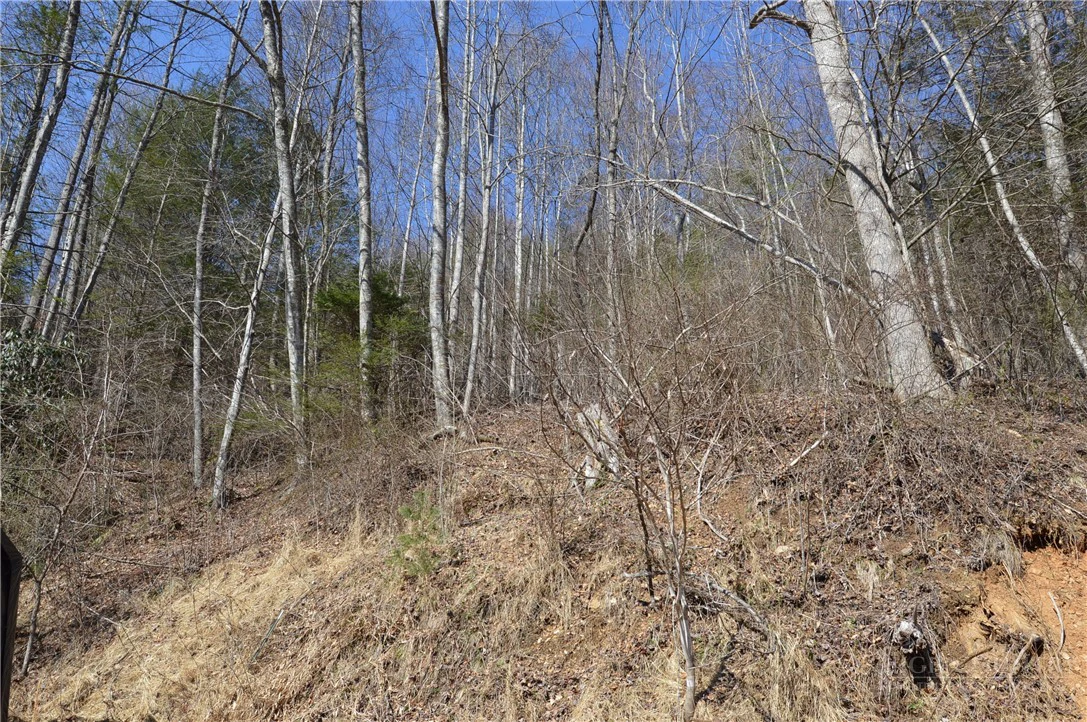 Image number 14 for the current listing