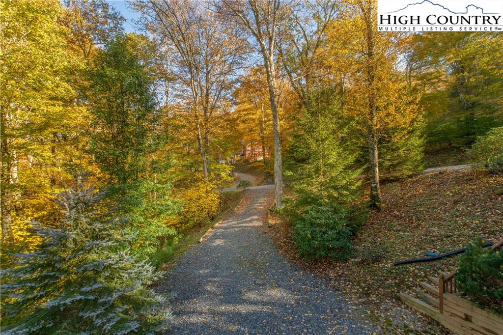 Image number 4 for the current listing