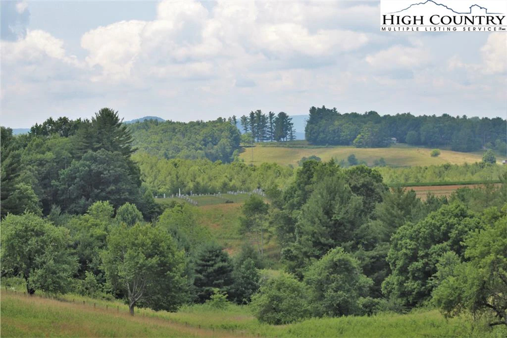 Image number 13 for the current listing