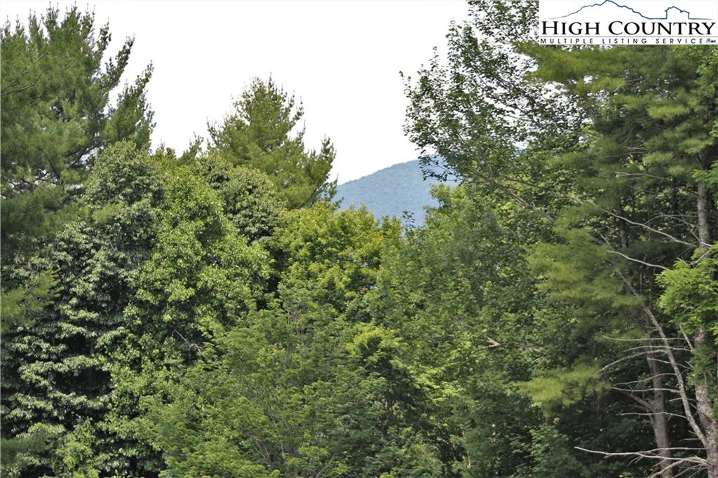 Image number 3 for the current listing