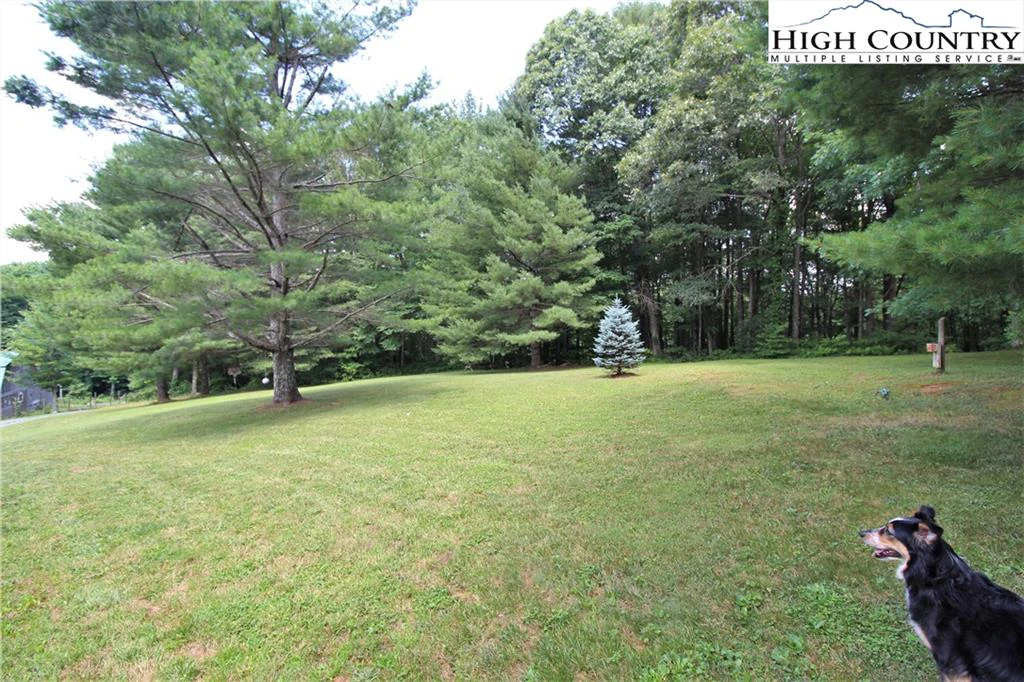 Image number 5 for the current listing