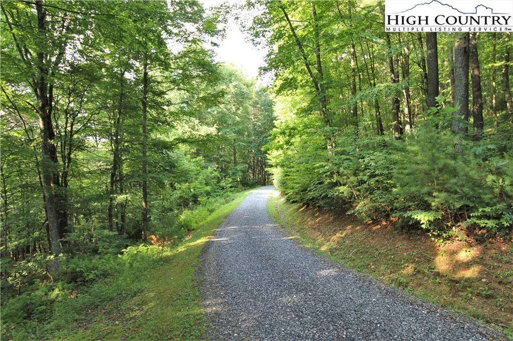 Image number 14 for the current listing