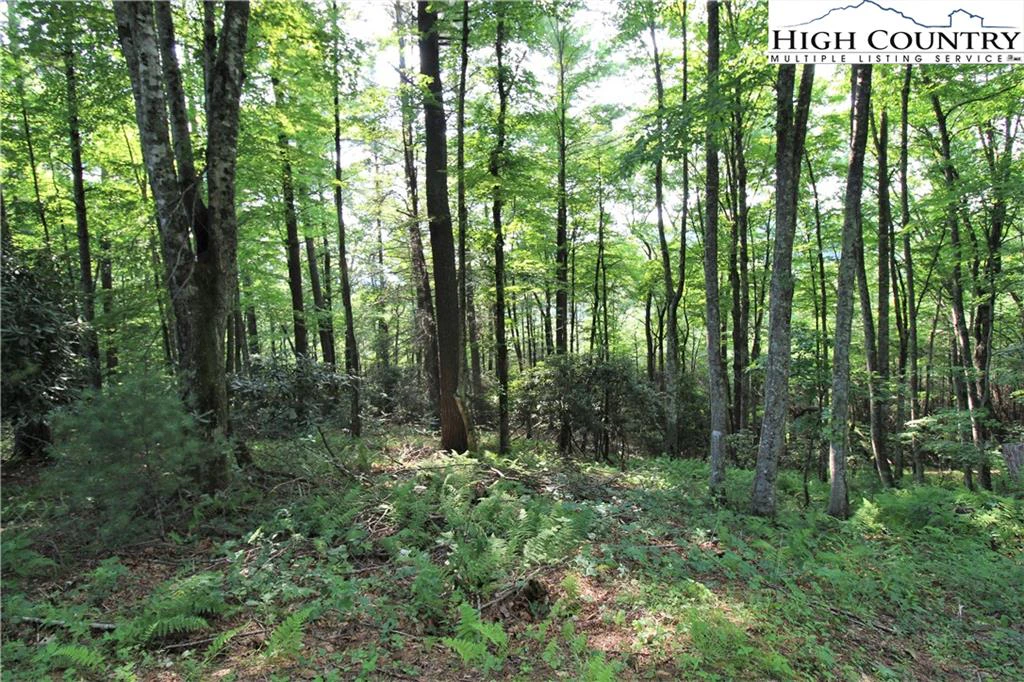 Image number 15 for the current listing