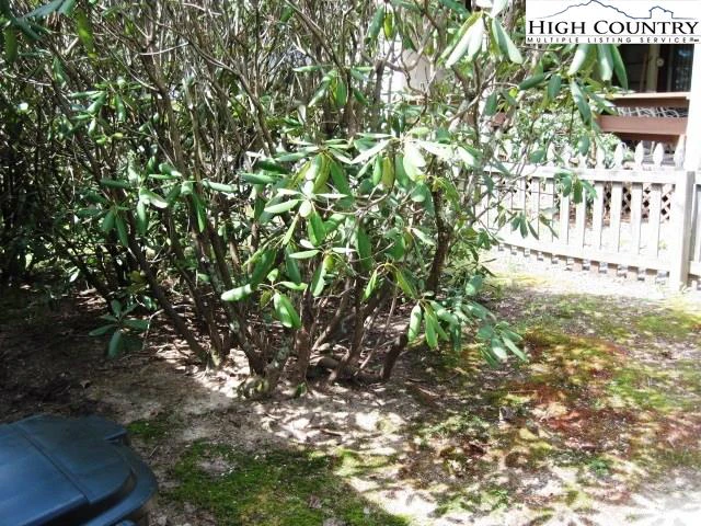 Image number 3 for the current listing