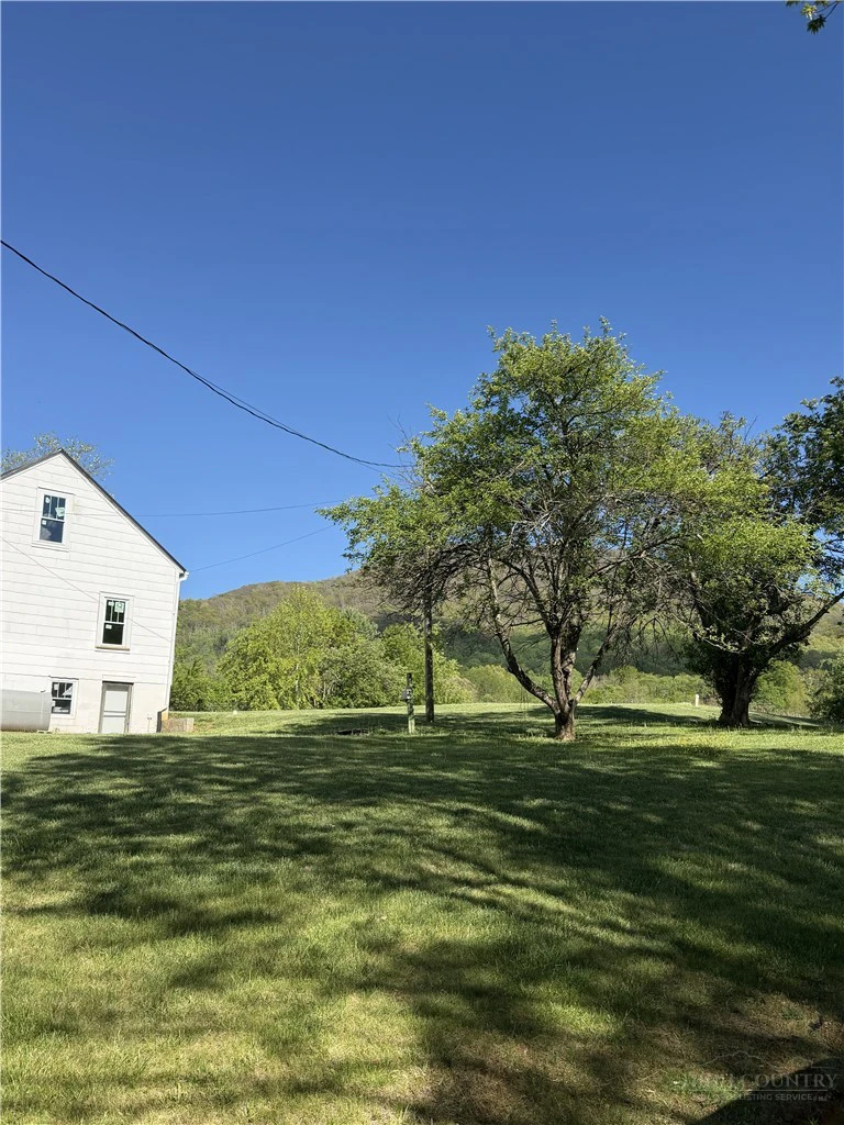 Image number 4 for the current listing
